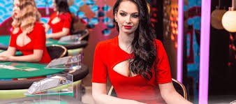 tabajee